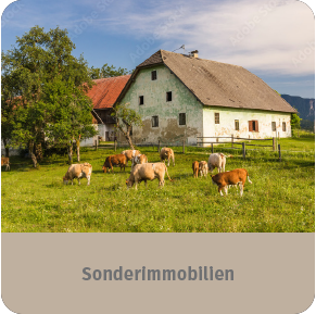 Sonderimmobilien